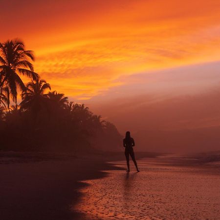 Guachaca Bohemia Beach المظهر الخارجي الصورة