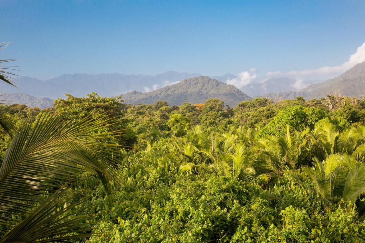 Guachaca Bohemia Beach المظهر الخارجي الصورة